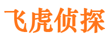 隆安侦探社